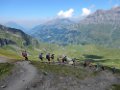 17_16. Juli 22_G Bergwanderung Bundstock (124)